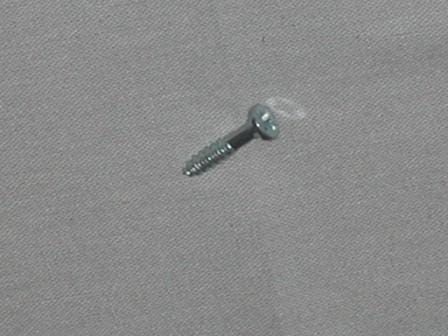 100555                 GOLO SCREW - CAP MOUNTING