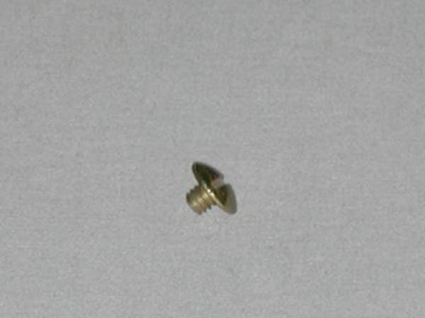 100816                 GOLO SCREW - TRUSS HEAD - 1/4-20 X 1/4 LG