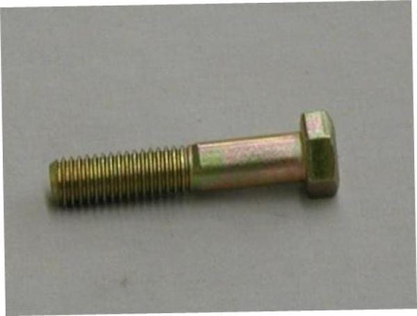 100918                 GOLO SCREW - HEX HEAD - 1/2-13 X 2.5 ZNCDIC